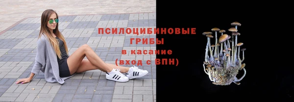 экстази Арсеньев