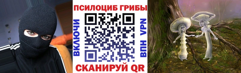 купить наркотики сайты  Ивдель  Псилоцибиновые грибы мицелий 